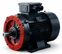 High Temperature Smoke Extraction Motor Asset